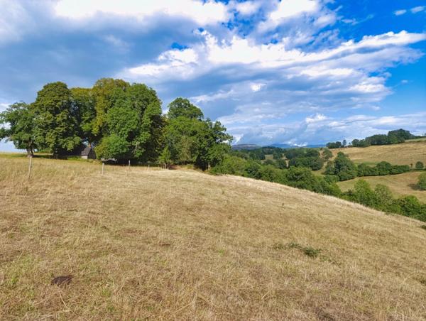 Propriété avec buron Proche de Salers