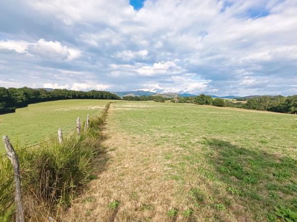Propriété avec buron Proche de Salers
