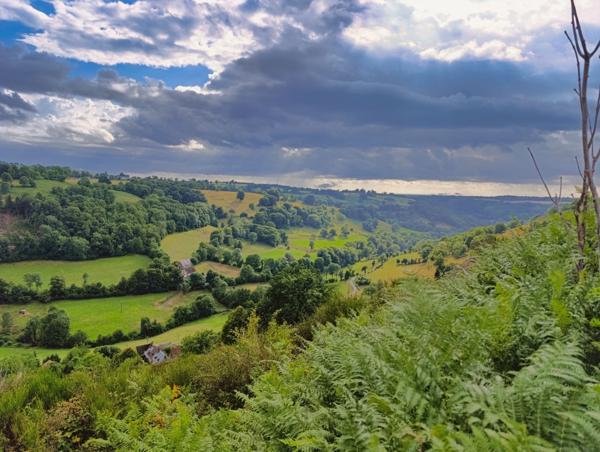 Propriété avec buron Proche de Salers
