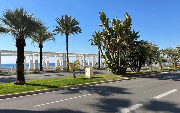 Appartement à vendre    1 pièce • 40 m2 Nice