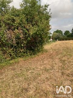 Terrain à vendre 3 078 m² Marseillan
