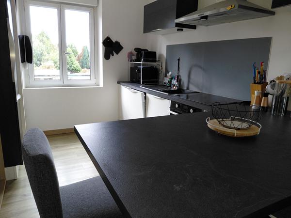 A LOUER POUR 18 MOIS - RARE - T3 MEUBLE PARFAIT ETAT AVEC GRAND JARDIN ET GARAGE