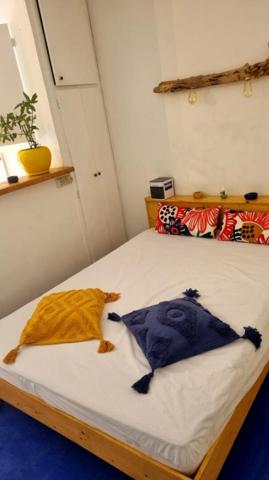 Maison meublée avec appartement indépendant Pézenas 34120