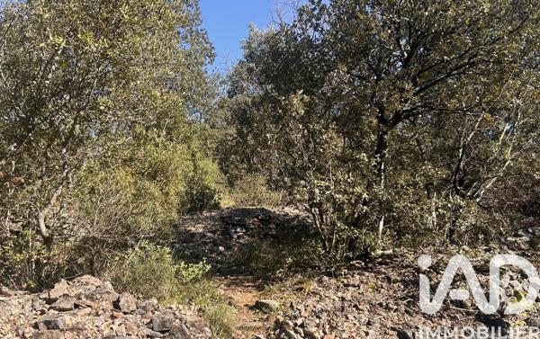 Maison à vendre 5 pièces 115 m² Saint-Maximin-la-Sainte-Baume