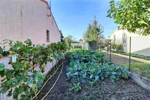 Maison Plain pied Castelginest avec piscine