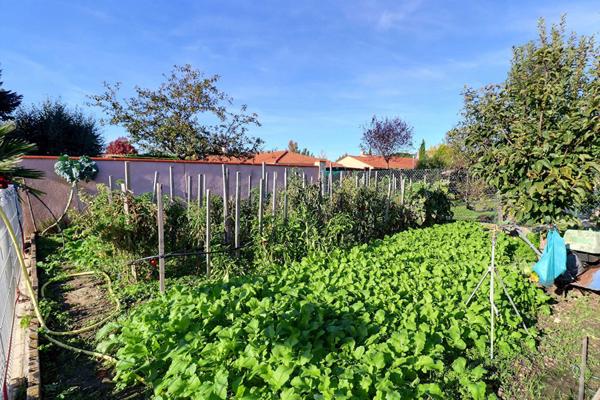 Maison Plain pied Castelginest avec piscine