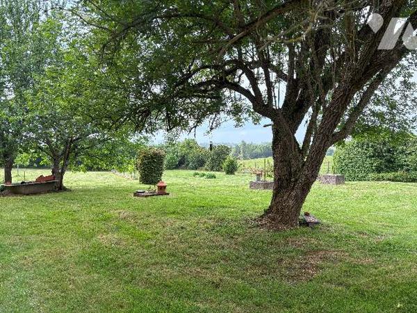 Tonneins- Beau pavillon de 220 m² avec jardin clos de plus de 5500m, dépendance, en sortie de ville