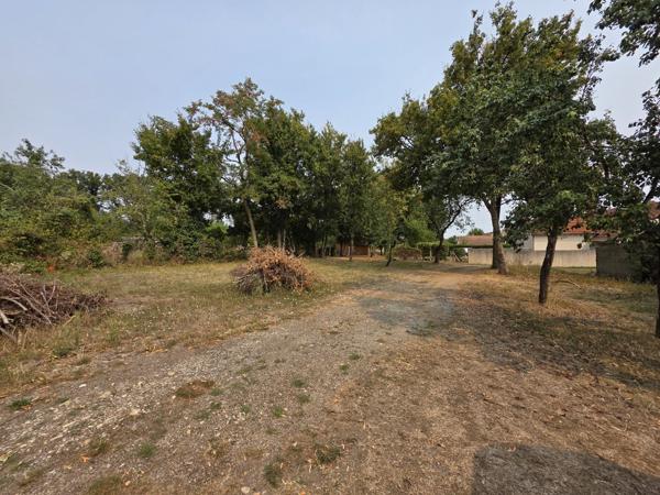 Terrain à LES BORDES (36100)