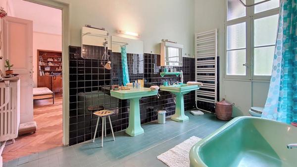 Demeure de prestige Arles Sur Tech 11 pièces .  300 m² habitable . 1500 m² de terrain