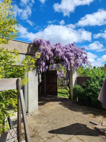 Maison à vendre 11 pièces de 237 m²