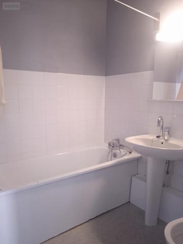 Appartement à louer à Montargis dans le Loiret (45200), ref : 45052-L287