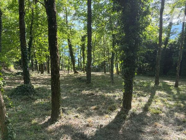 Maison de 95 m² à rénover avec vue exceptionnelle sur le lac du Bourget et parc de 3000 m².