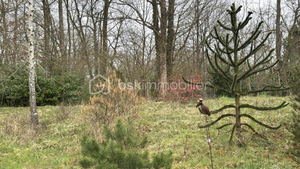 Terrain de loisirs de 96 594 m²