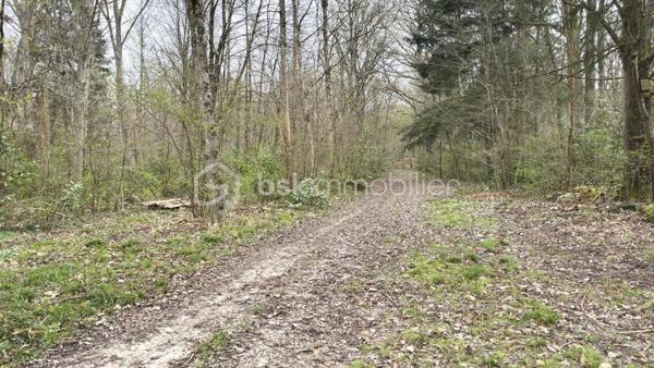 Terrain de loisirs de 96 594 m²