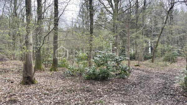 Terrain de loisirs de 96 594 m²