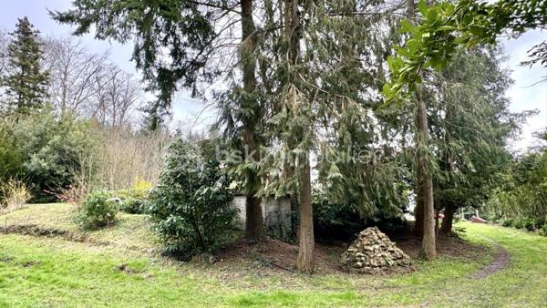 Terrain de loisirs de 96 594 m²