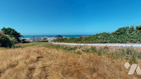 TERRAIN A BATIR - SCIOTOT LES PIEUX