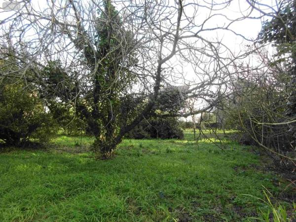 Achat - Maison Plouhinec 29780 3 pièces 1 m 2 1466 m 2