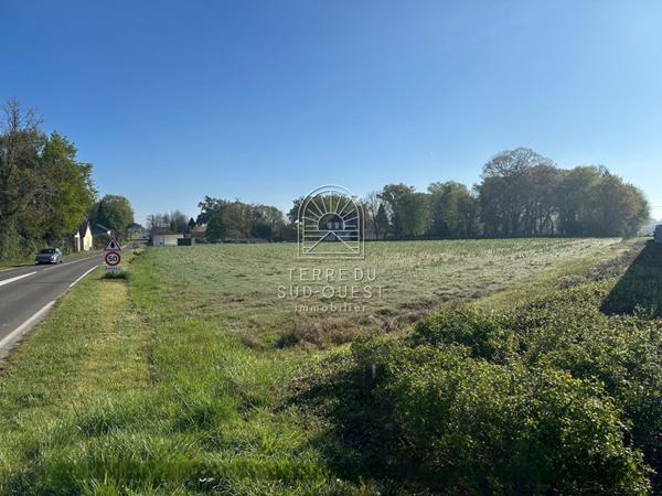 Terrain 8431 m²
