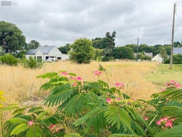 Terrain à Batir à vendre à Moëlan-sur-Mer dans le Finistère (29350), ref : TM443