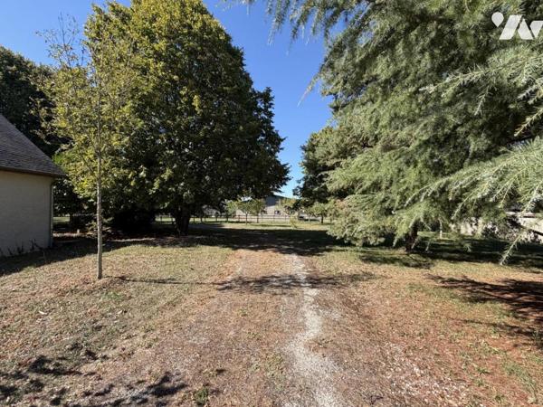 Maison familiale de caractère – 219 m² – Parc arboré de plus de 6 000 m² – Chanceaux-sur-Choisille