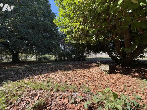 Maison familiale de caractère – 219 m² – Parc arboré de plus de 6 000 m² – Chanceaux-sur-Choisille