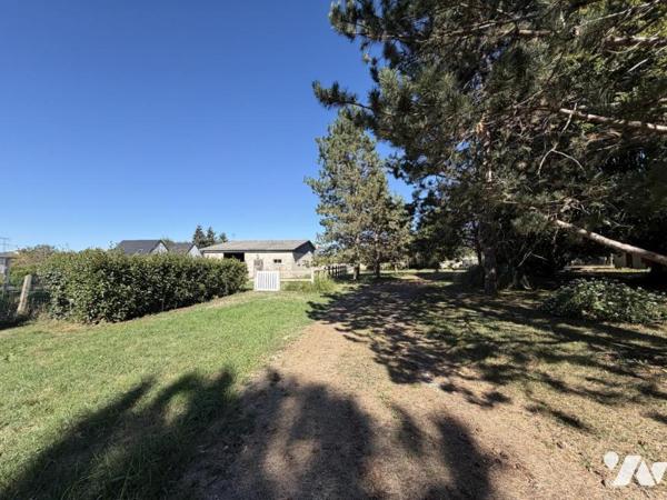 Maison familiale de caractère – 219 m² – Parc arboré de plus de 6 000 m² – Chanceaux-sur-Choisille