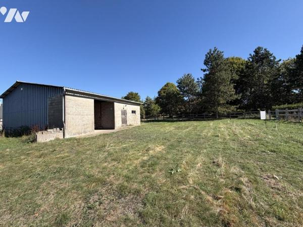 Maison familiale de caractère – 219 m² – Parc arboré de plus de 6 000 m² – Chanceaux-sur-Choisille