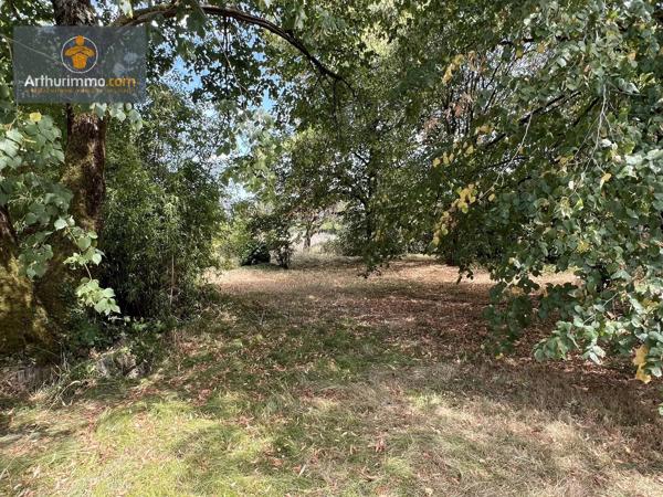 Vente                                                      Maison
                        
                     6 pièces                      200 m2                     à Marmande
