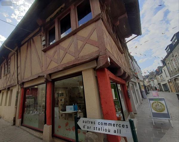 Local mixte (Pro/Hab) à vendre à Pontivy dans le Morbihan (56300), ref : 063-420