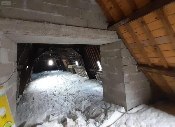 Local mixte (Pro/Hab) à vendre à Pontivy dans le Morbihan (56300), ref : 063-420