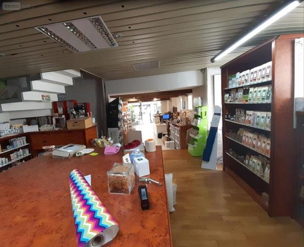 Local mixte (Pro/Hab) à vendre à Pontivy dans le Morbihan (56300), ref : 063-420