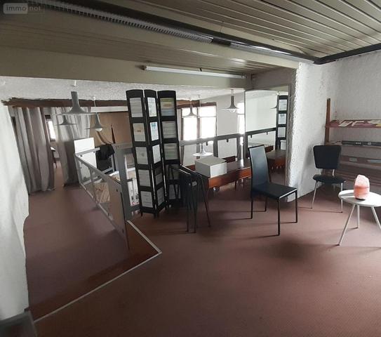 Local mixte (Pro/Hab) à vendre à Pontivy dans le Morbihan (56300), ref : 063-420