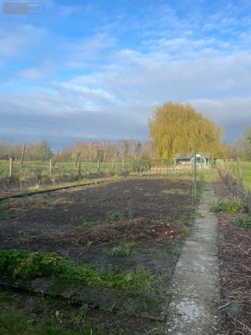 Maison individuelle à vendre à Houplines dans le Nord (59116), ref : F30420