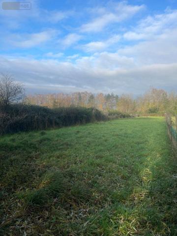 Maison individuelle à vendre à Houplines dans le Nord (59116), ref : F30420