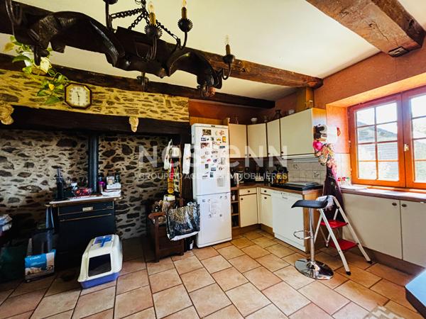 MAISON EN PIERRE A VENDRE LAGRAULIERE PLUS D'1 HECTARE DE TERRAIN