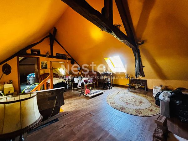MAISON EN PIERRE A VENDRE LAGRAULIERE PLUS D'1 HECTARE DE TERRAIN