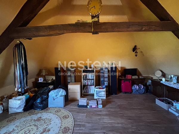 MAISON EN PIERRE A VENDRE LAGRAULIERE PLUS D'1 HECTARE DE TERRAIN