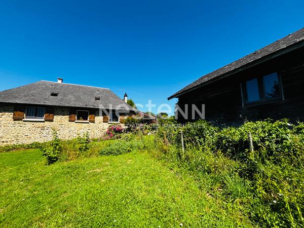 MAISON EN PIERRE A VENDRE LAGRAULIERE PLUS D'1 HECTARE DE TERRAIN