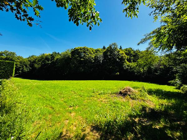 MAISON EN PIERRE A VENDRE LAGRAULIERE PLUS D'1 HECTARE DE TERRAIN