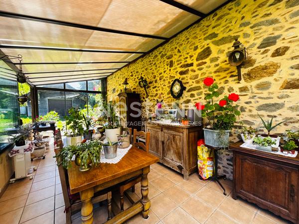 MAISON EN PIERRE A VENDRE LAGRAULIERE PLUS D'1 HECTARE DE TERRAIN