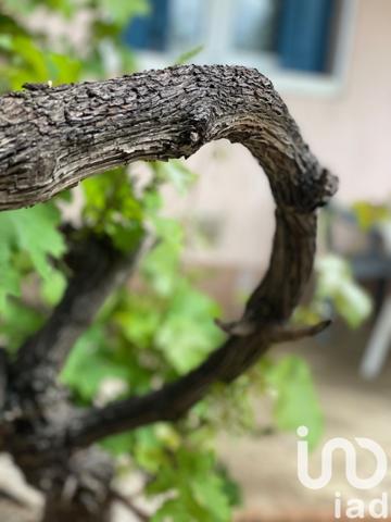 Appartement à vendre 1 pièce 30 m² Sorgues