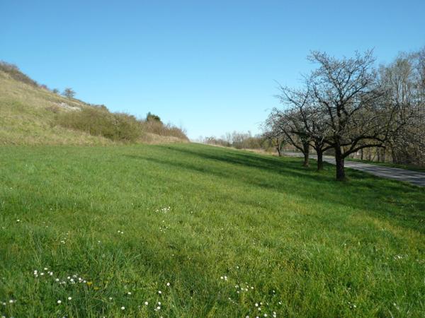 ⚜ SAINT LAURENT DE COGNAC A Vendre Maison Surélevée ⚜