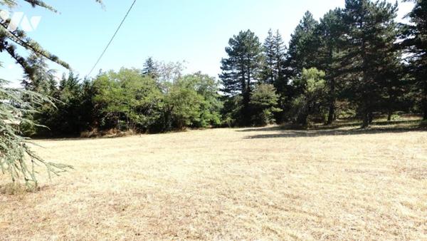 Terrain constructible de 4 200 m² à Digne-les-Bains, quartier des Duyes