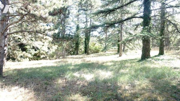 Terrain constructible de 4 200 m² à Digne-les-Bains, quartier des Duyes