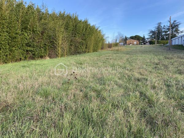 Lotissement de 1 597 m²