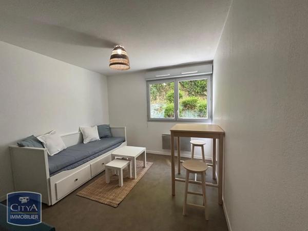 Appartement à louer 1 pièce 20.31m² Caluire-et-Cuire (69300)