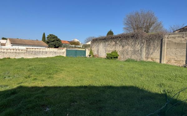 Terrain à vendre    Beaucaire