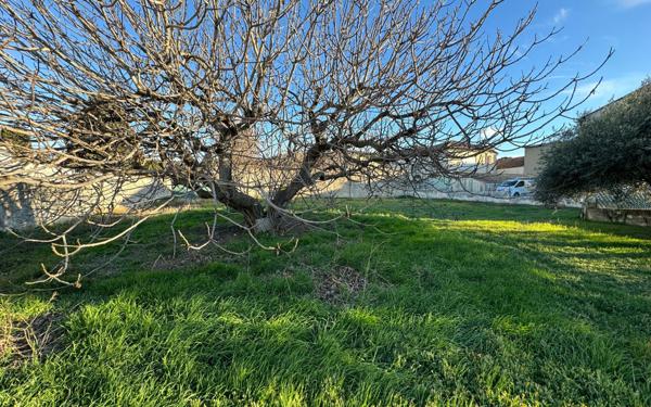 Terrain à vendre    Beaucaire