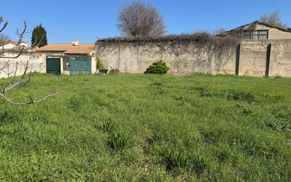 Terrain à vendre    Beaucaire